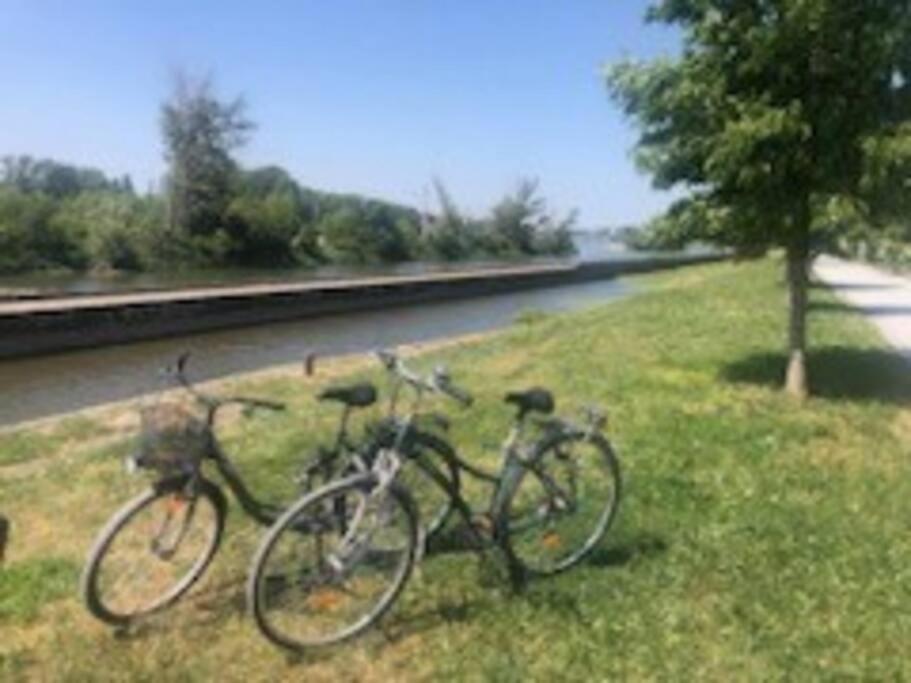Appartamento Le Domremy F2 Au Coeur D'Orléans Esterno foto