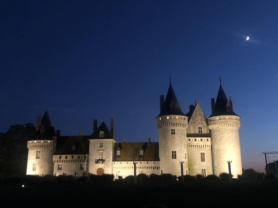 Appartamento Le Domremy F2 Au Coeur D'Orléans Esterno foto