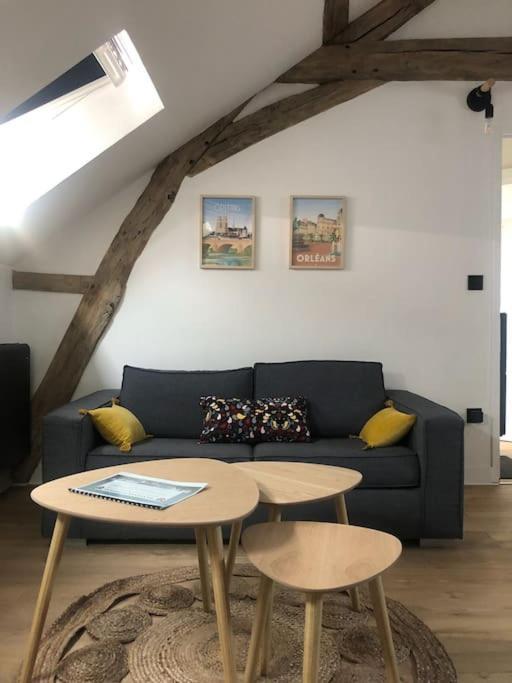 Appartamento Le Domremy F2 Au Coeur D'Orléans Esterno foto
