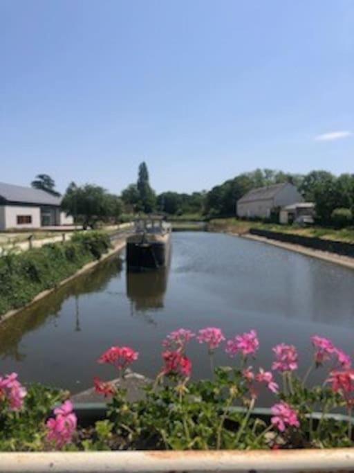 Appartamento Le Domremy F2 Au Coeur D'Orléans Esterno foto